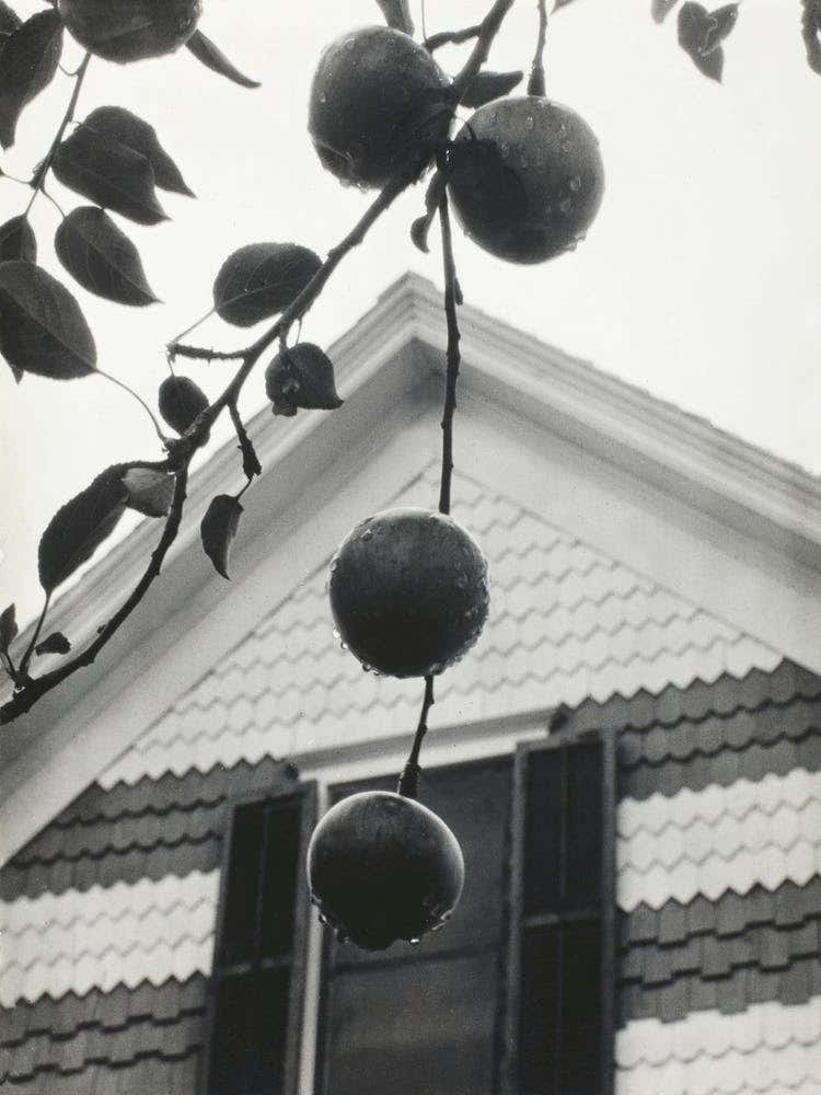 Gable And Apples (1922), Alfred Stieglitz