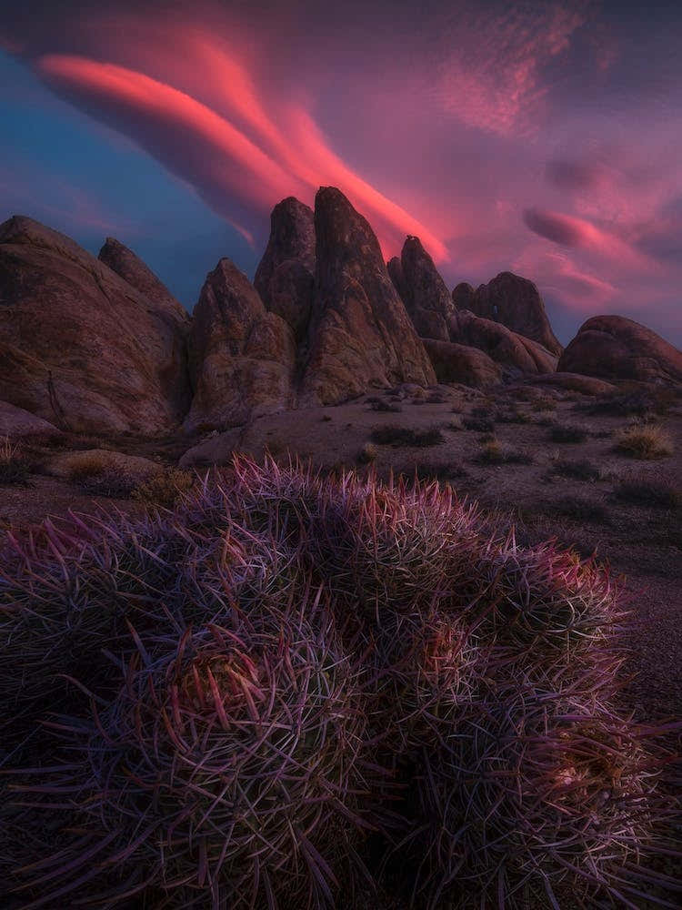 Sleuth Of Scintillance