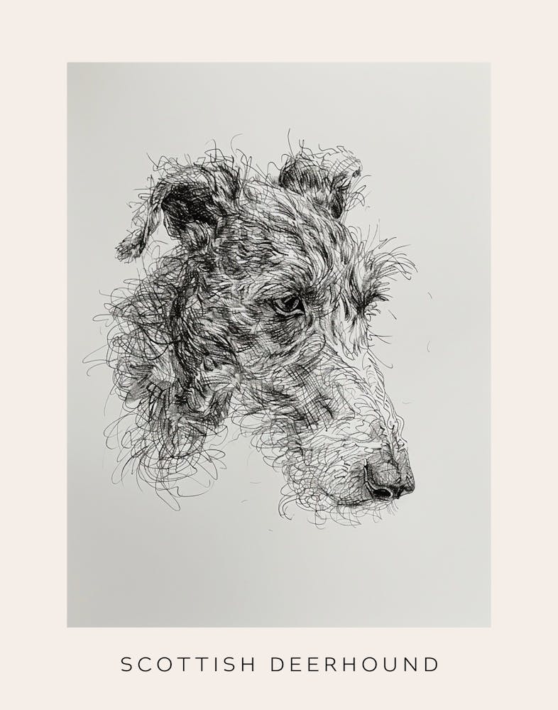 Scottish Deerhound Dog Line Sketch 3 Poster