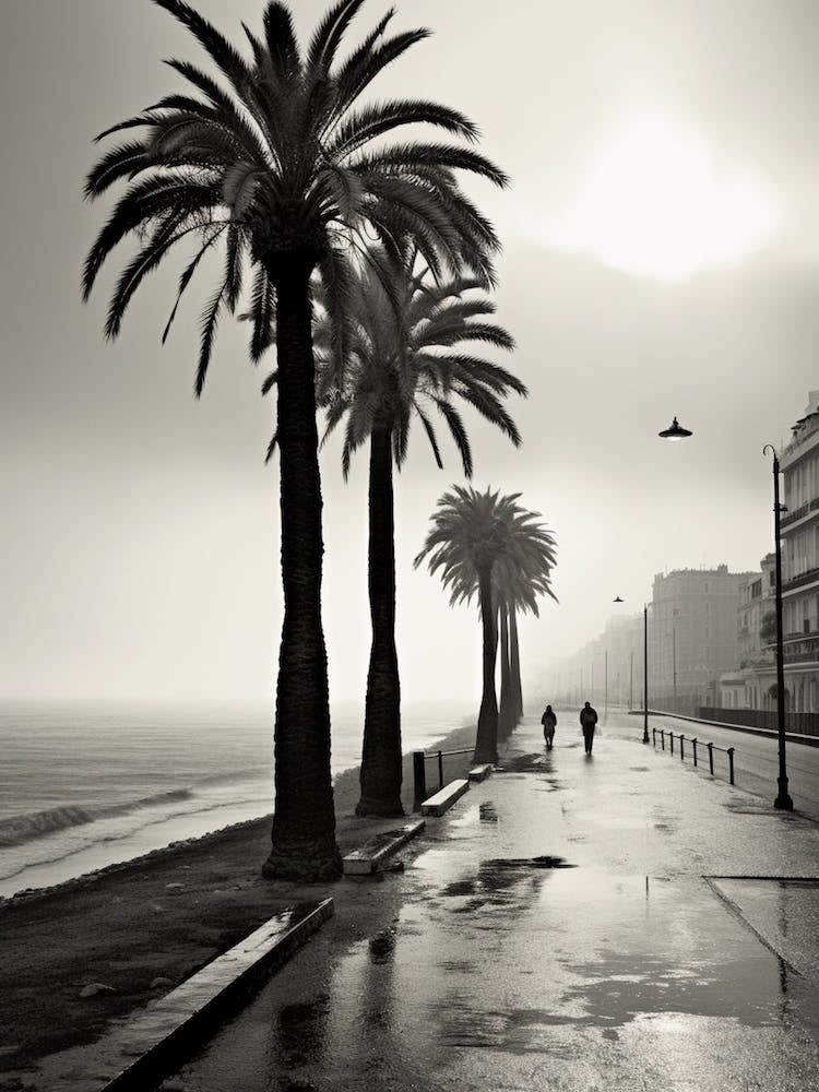 Nice, France, Mediterranean Black And White Photography Analogue 6