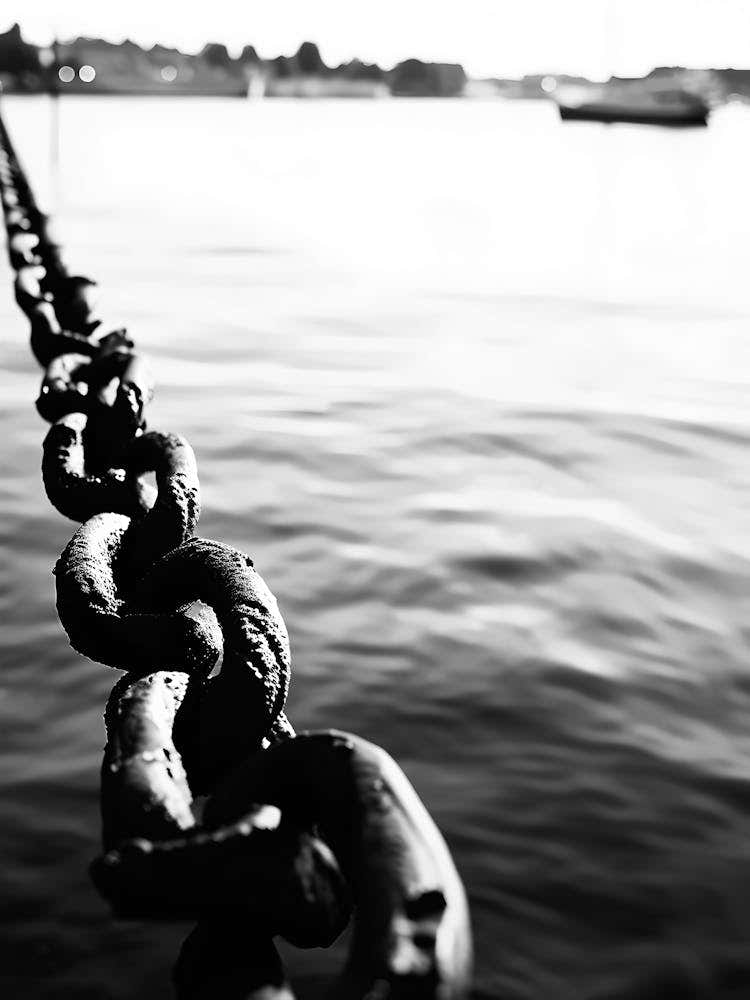 Chain Link