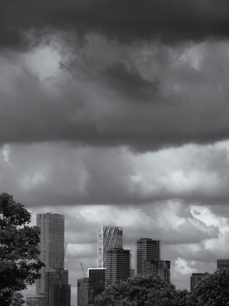 Black And White Cityscape