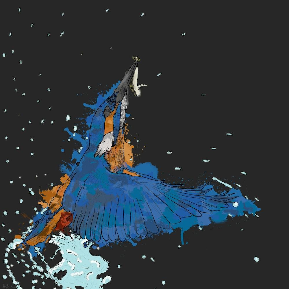 Kingfisher'S Catch Square