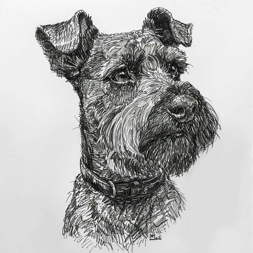 Cesky Terrier Dog Line Sketch 4