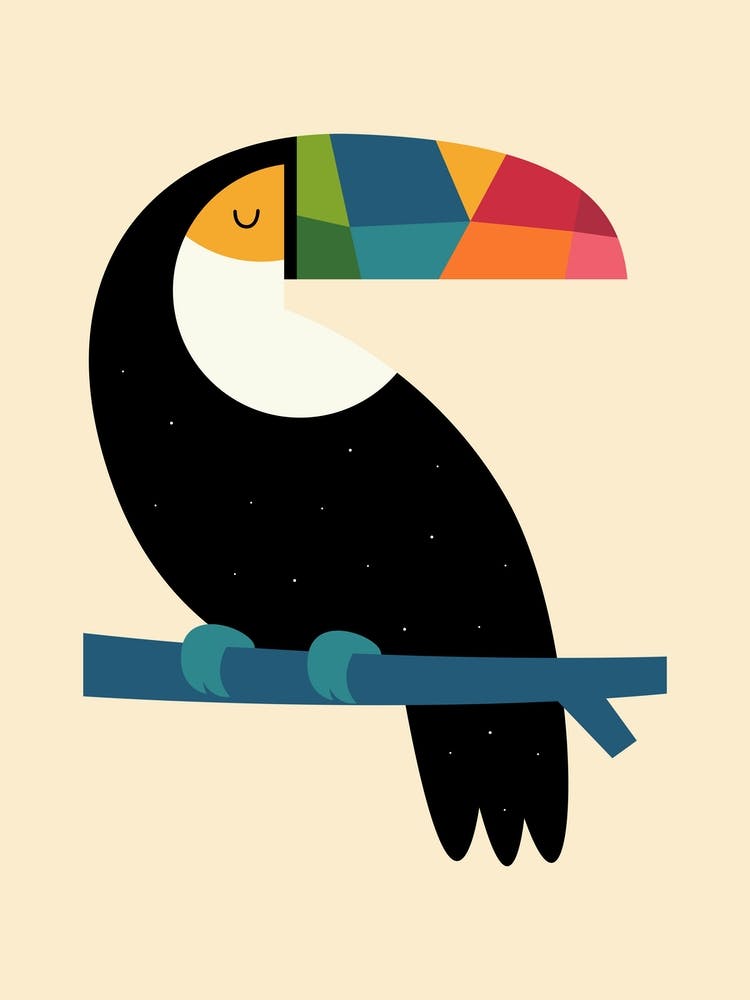 Rainbow Toucan