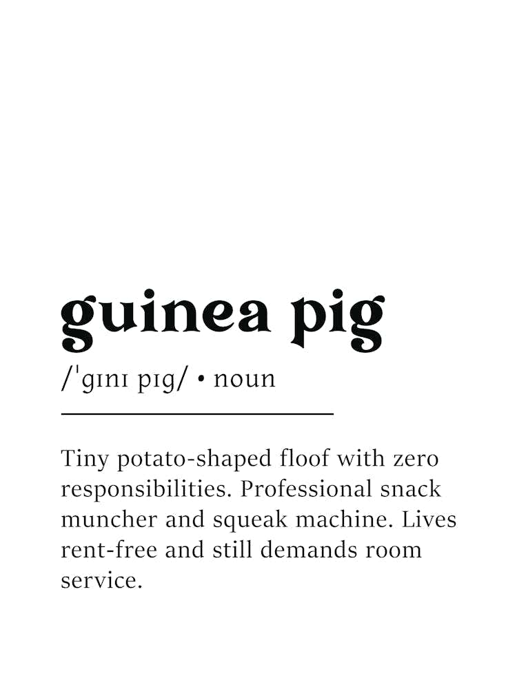 Guinea Pig Definition Poster - Dictionary