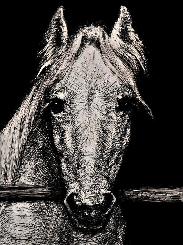 A Horse's Head by Hans Christian Gether Caspersen (1892)