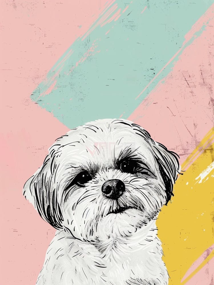 Shih Tzu Dog Pastel Line Watercolour Illustration  1