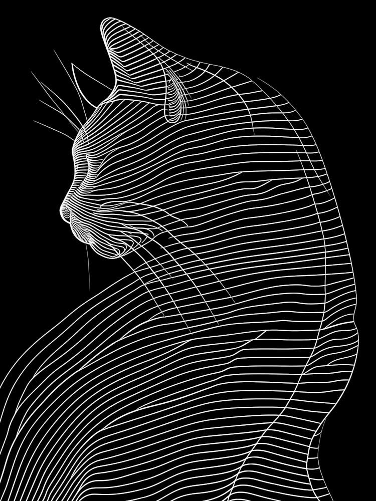 Abstract Cat Silhouette On Black Background
