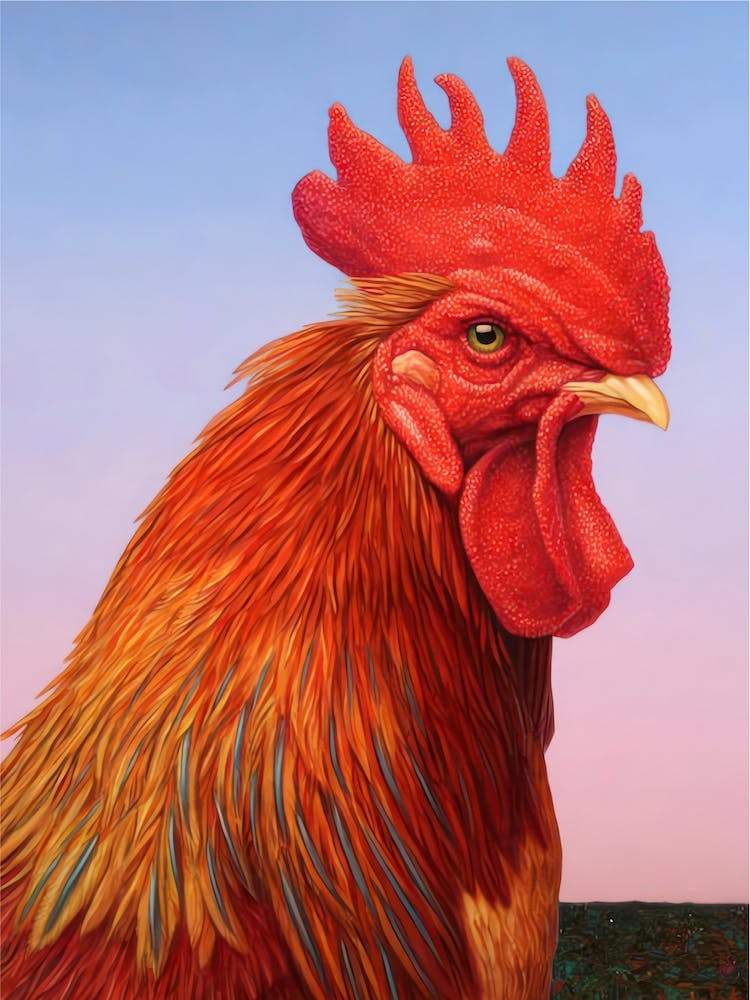 Rooster