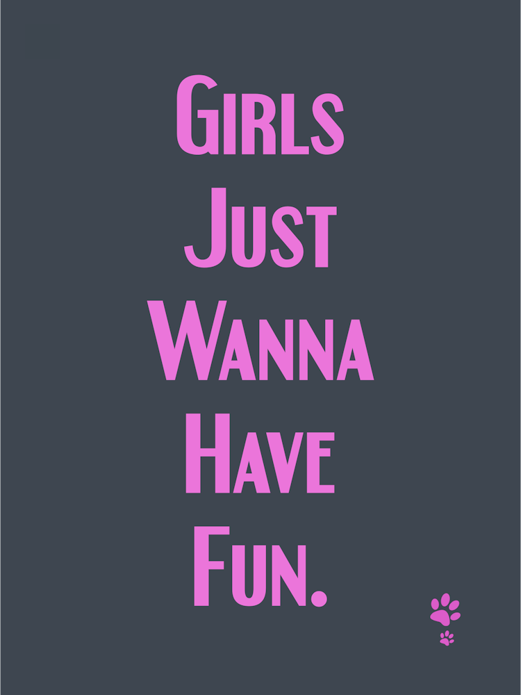 Girls Just Wanna Have Fun