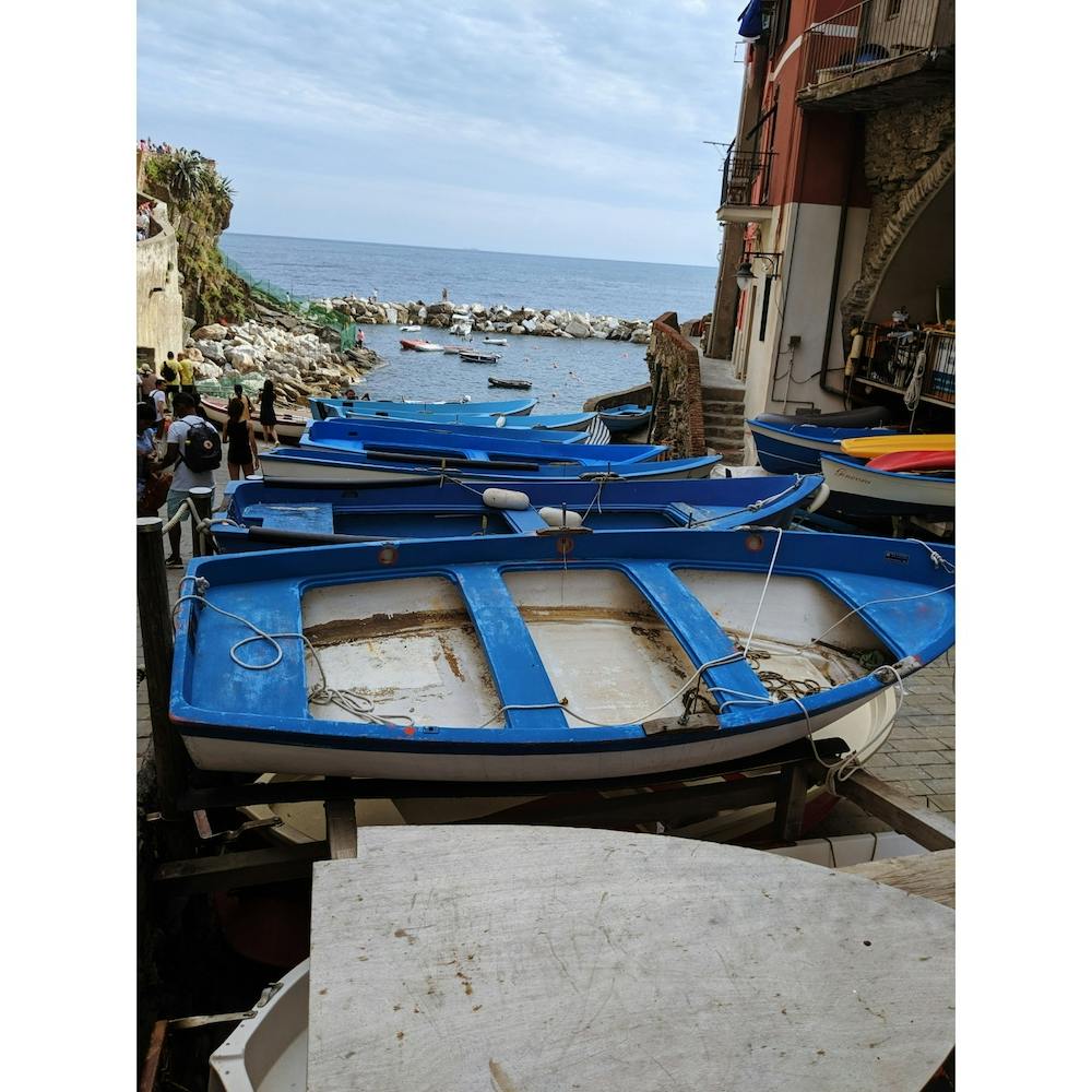 Boats In Port - Cinque Terre, IT