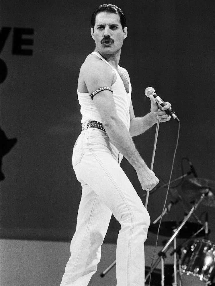 Freddie Mercury
