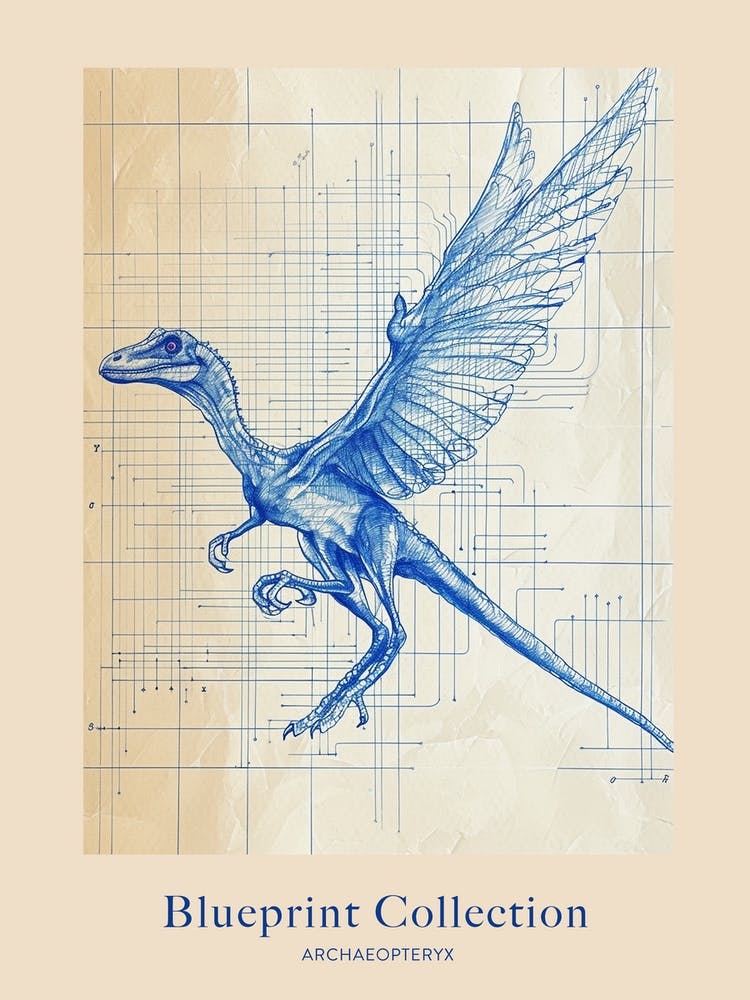 Archaeopteryx Dinosaur Blue Print Sketch 2 Poster