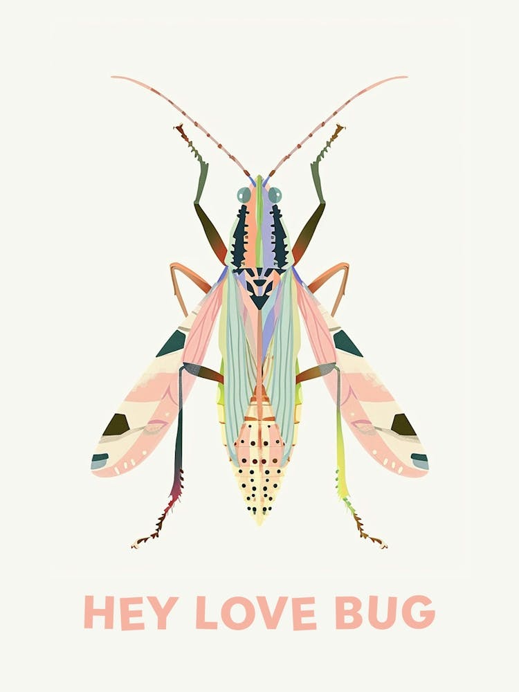 Hey Love Bug Poster 6