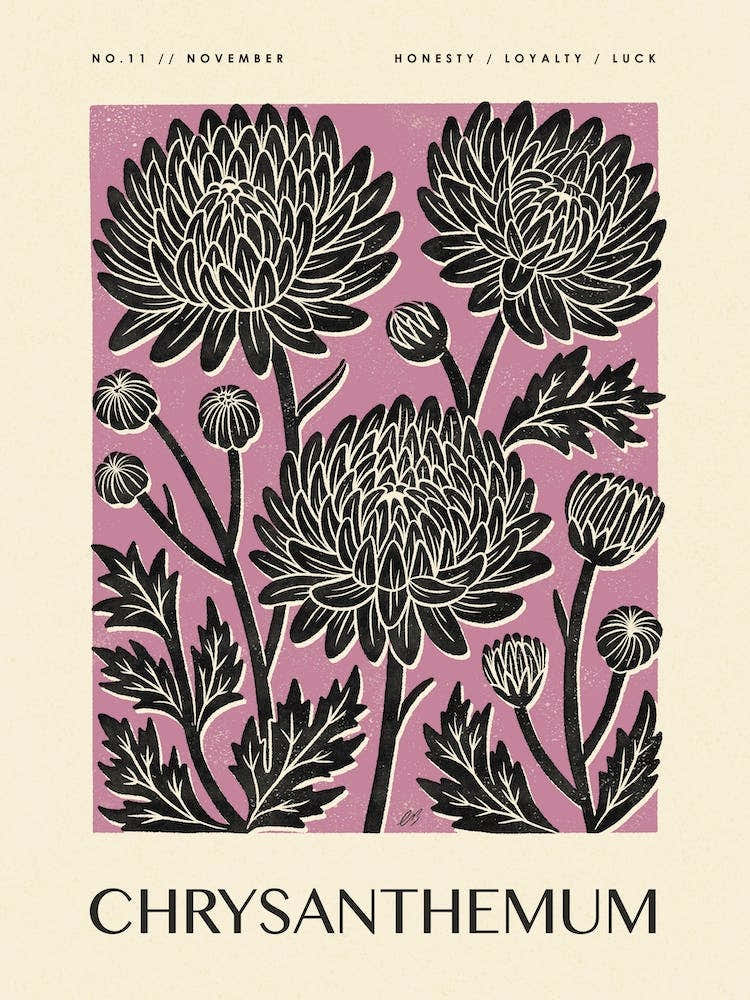 Rustic November Birth Flower Chrysanthemum Black Purple