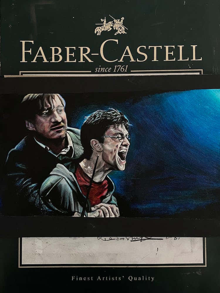 The Death of Sirius Black, Harry Potter and the Order of the Phoenix