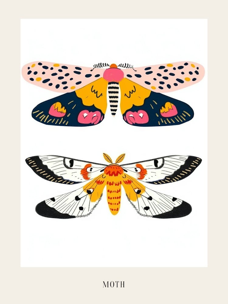 Colourful Insect Illustration Moth 1 Poster