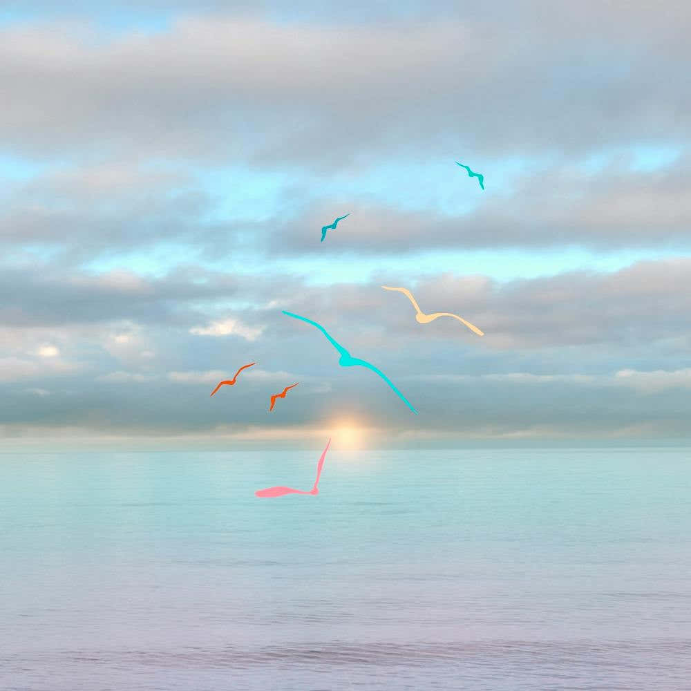 Colorful Seagulls Flying Square