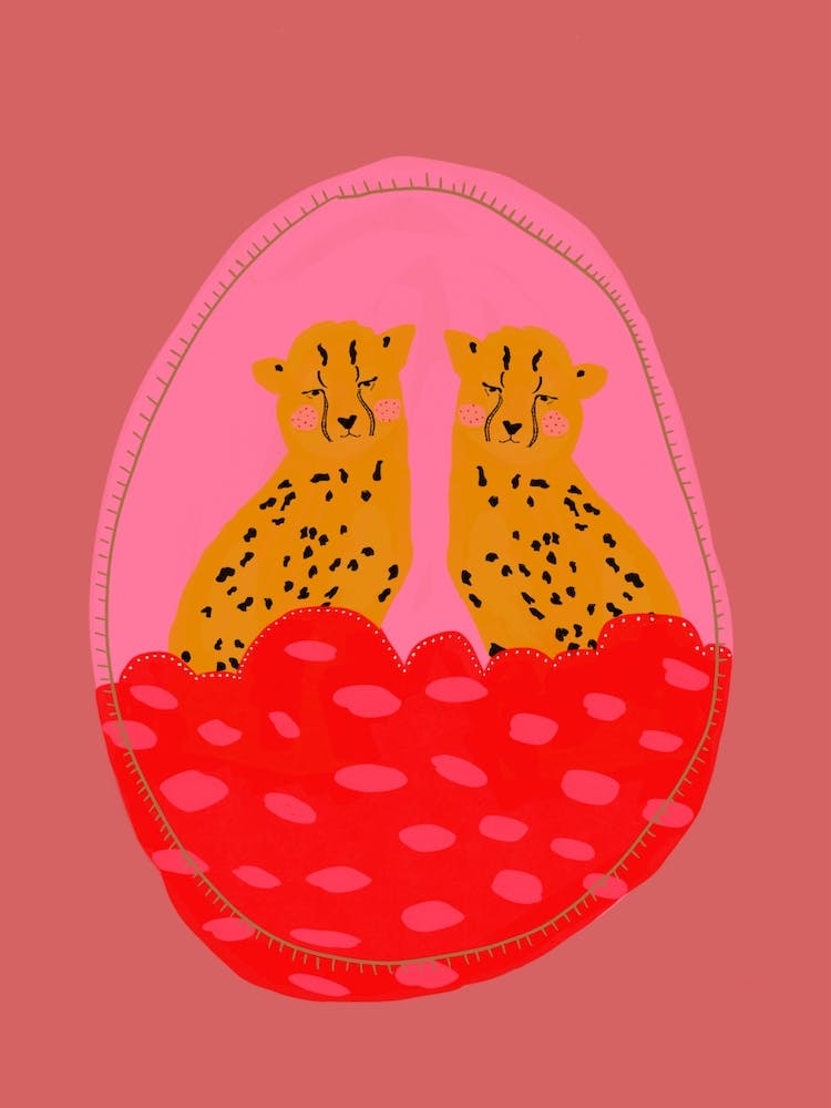 Leopards Illustration
