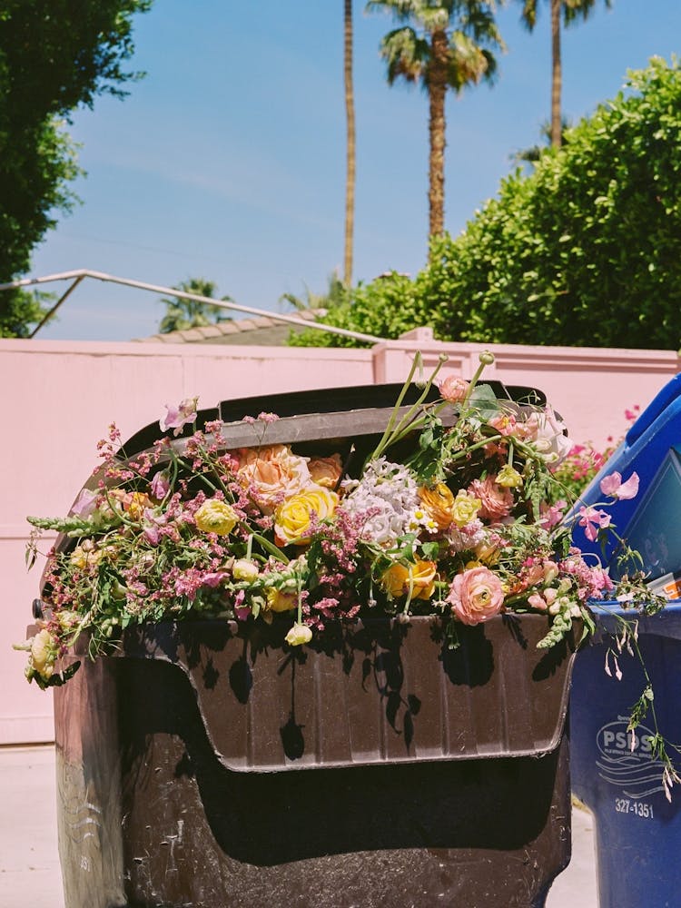 Palm Springs Curb on Film