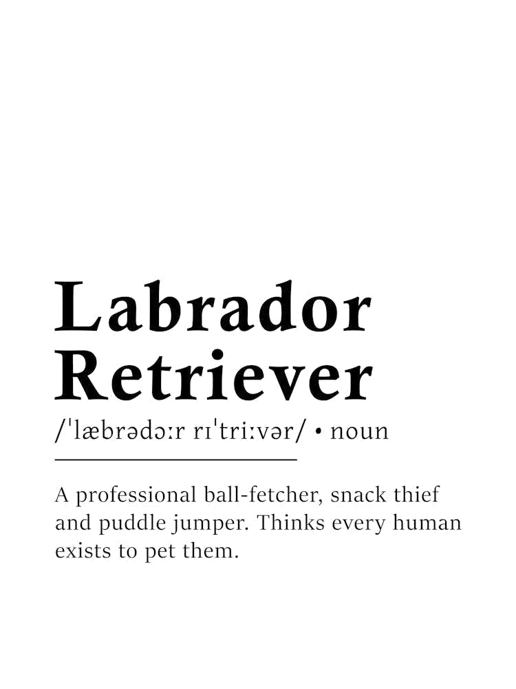 Labrador Retriever Definition Poster - Dictionary