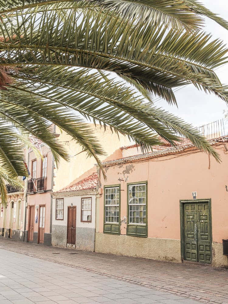 Colorful Tenerife Island