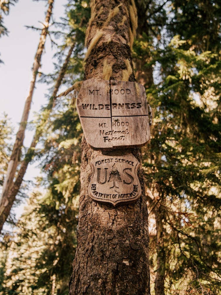 Mt Hood Wilderness Forest Service Sign