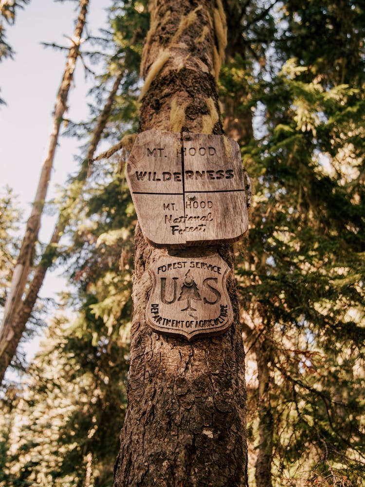 Mt Hood Wilderness Forest Service Sign