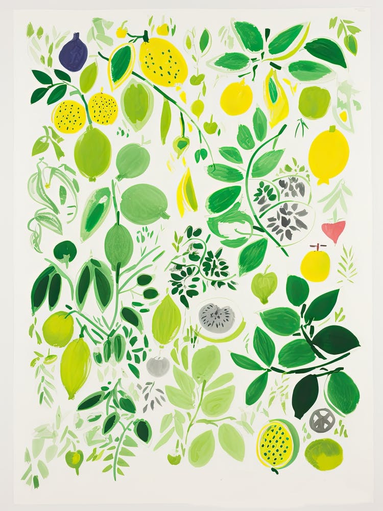 Lime Fruit Drawing 8