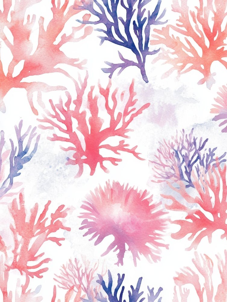 Corals 1