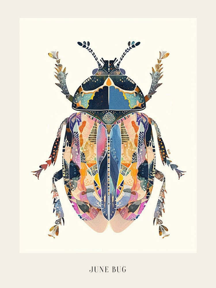 Colourful Insect Illustration June Bug 13 Poster