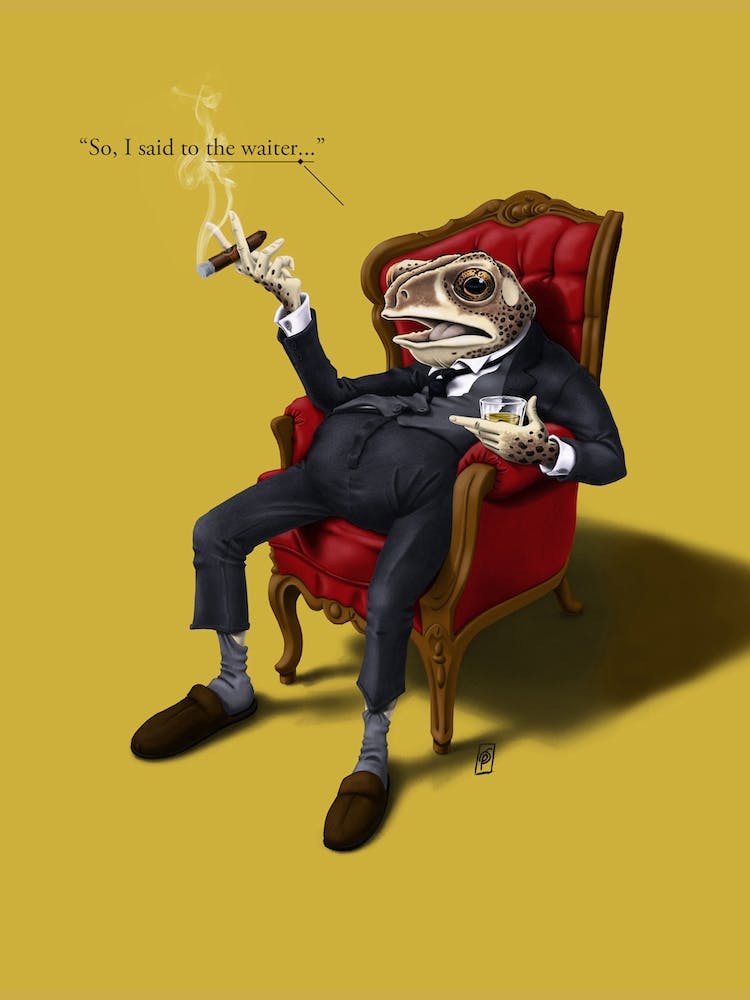 Fly In My Soup (Colour)