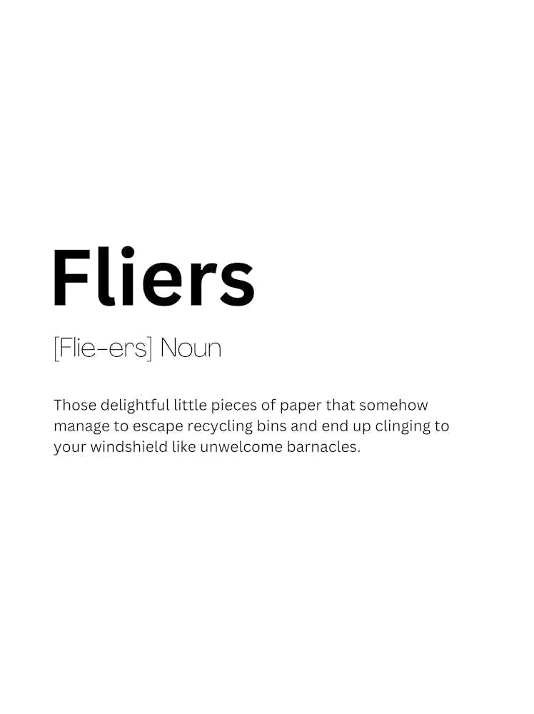 Fliers Definition Meaning