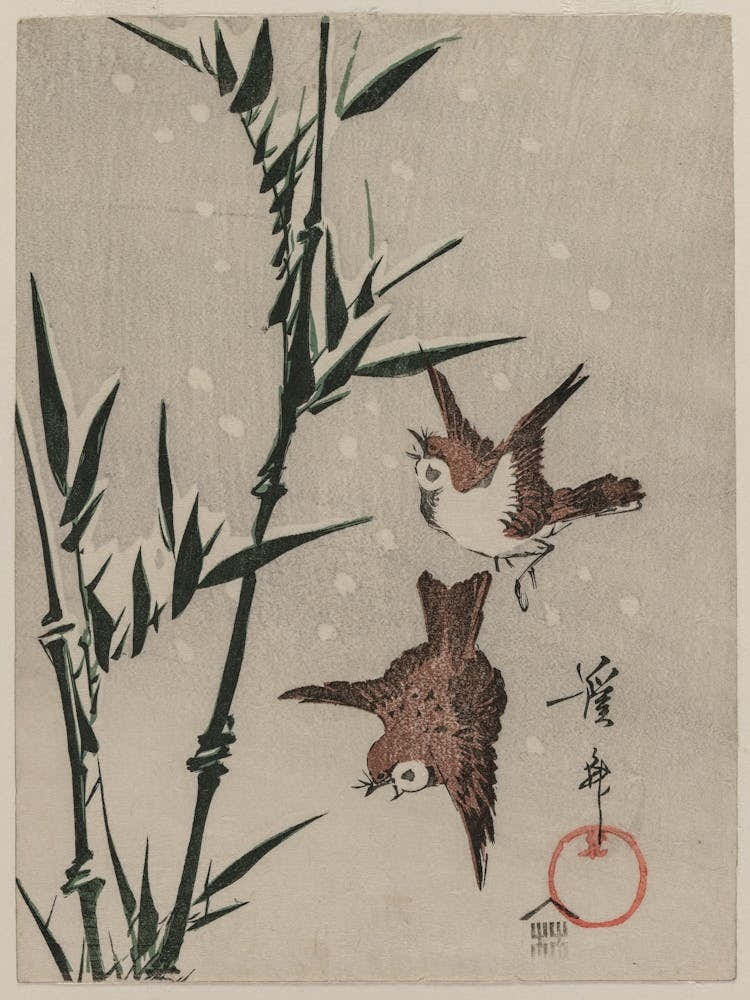 Two Birds In Flight 1