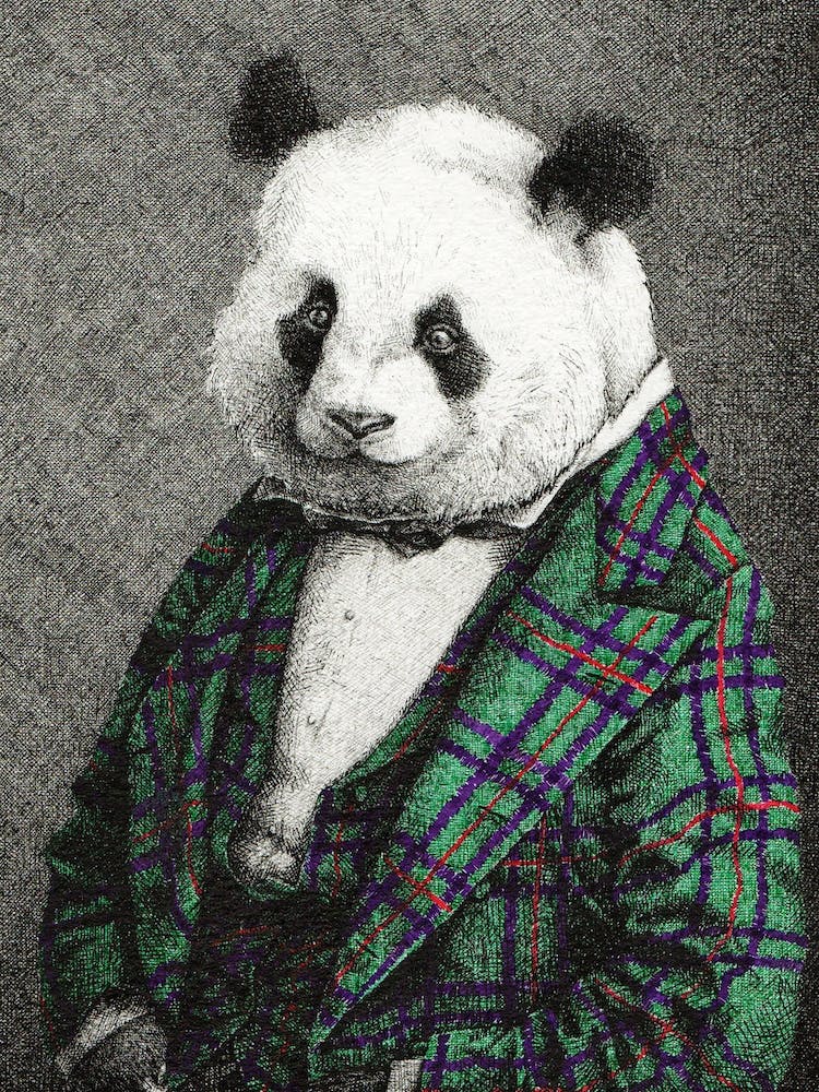 Portrait Of A Panda