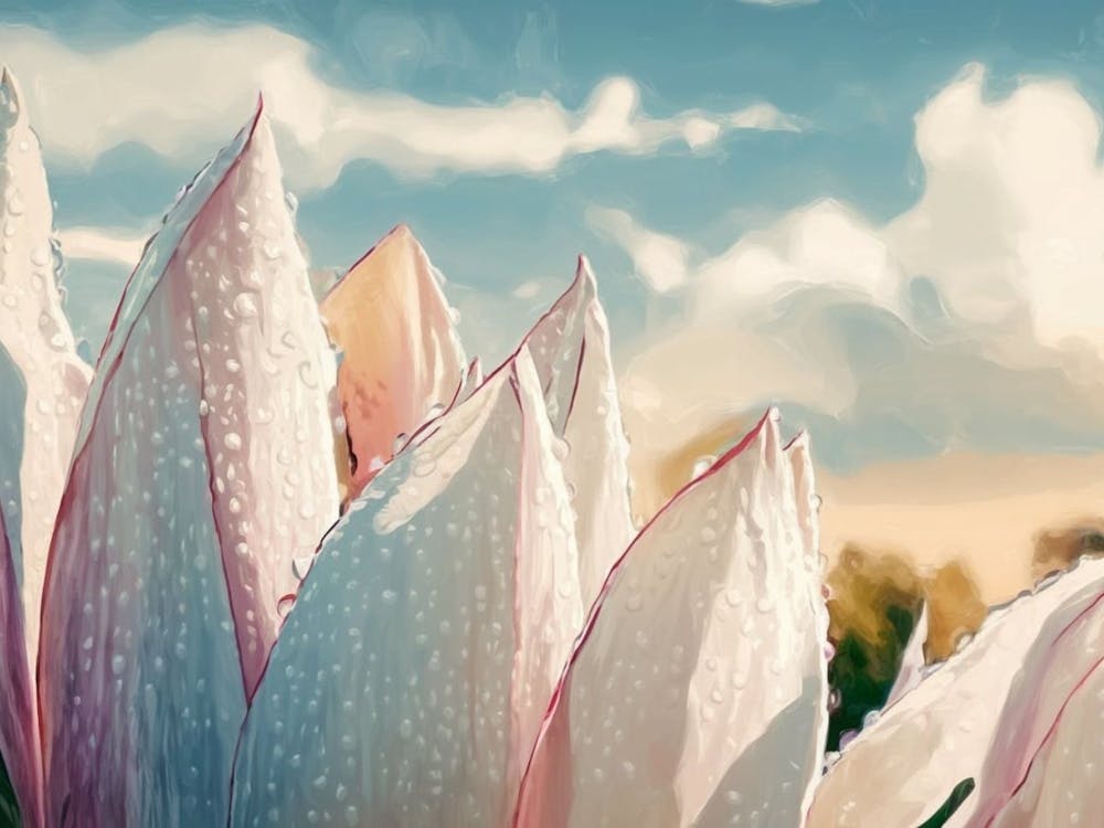 Elegant Protea Bloom - Modern Floral