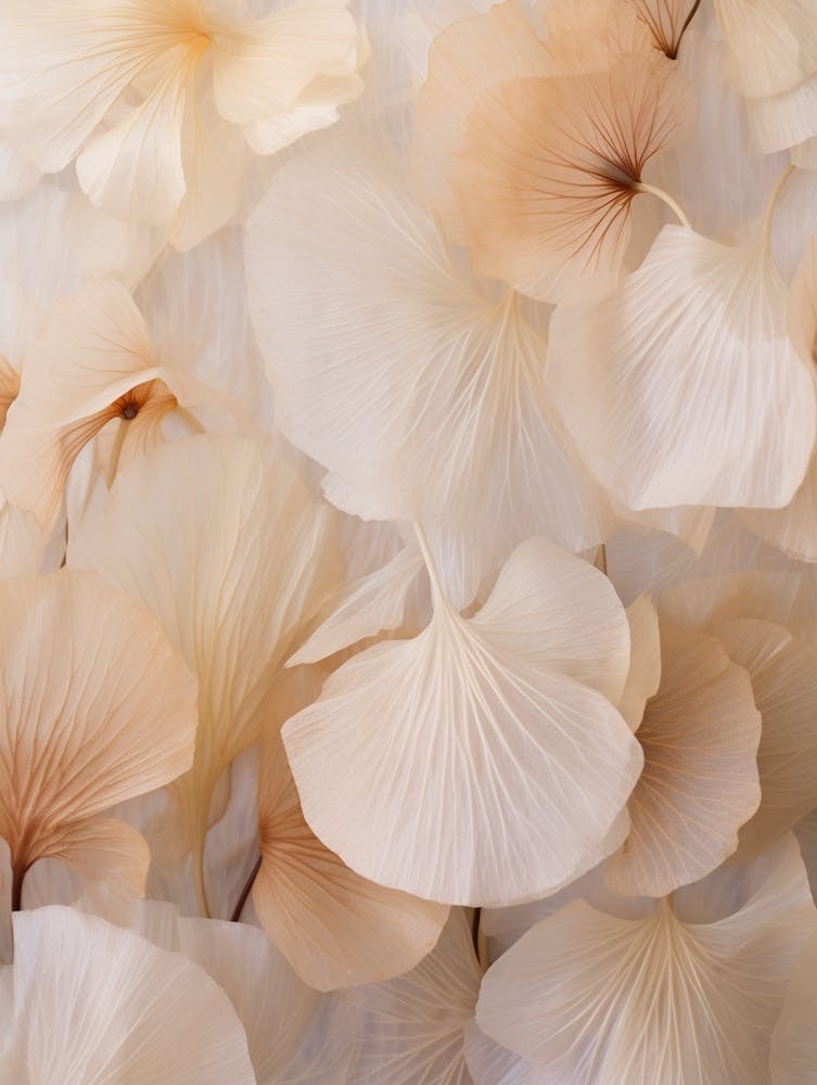 Boho Dried Flowers Cyclamen 3