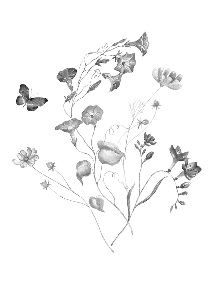 Flowers And Butterflies