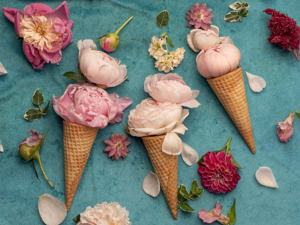 Triple Scoop Bloom Peony Flavor