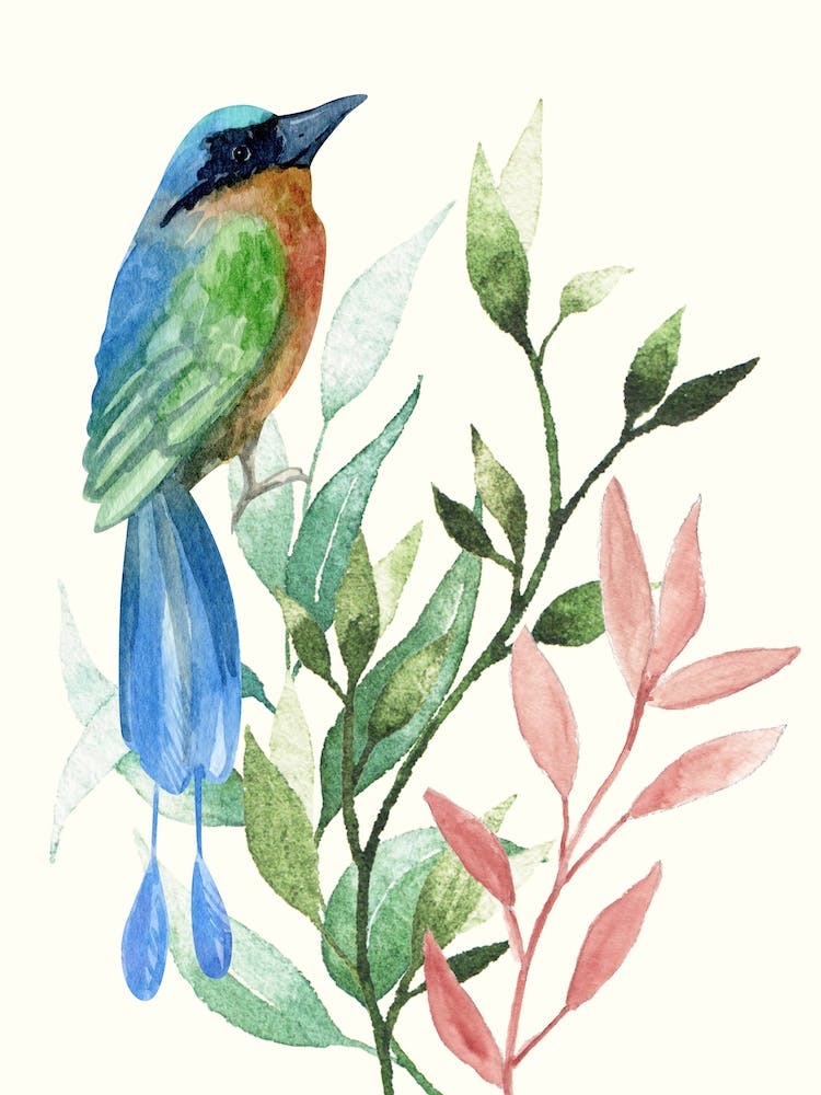 Watercolor Of A Bird