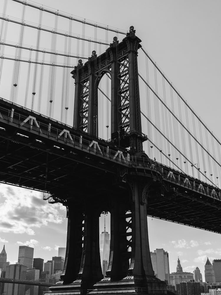 Dumbo Brooklyn V