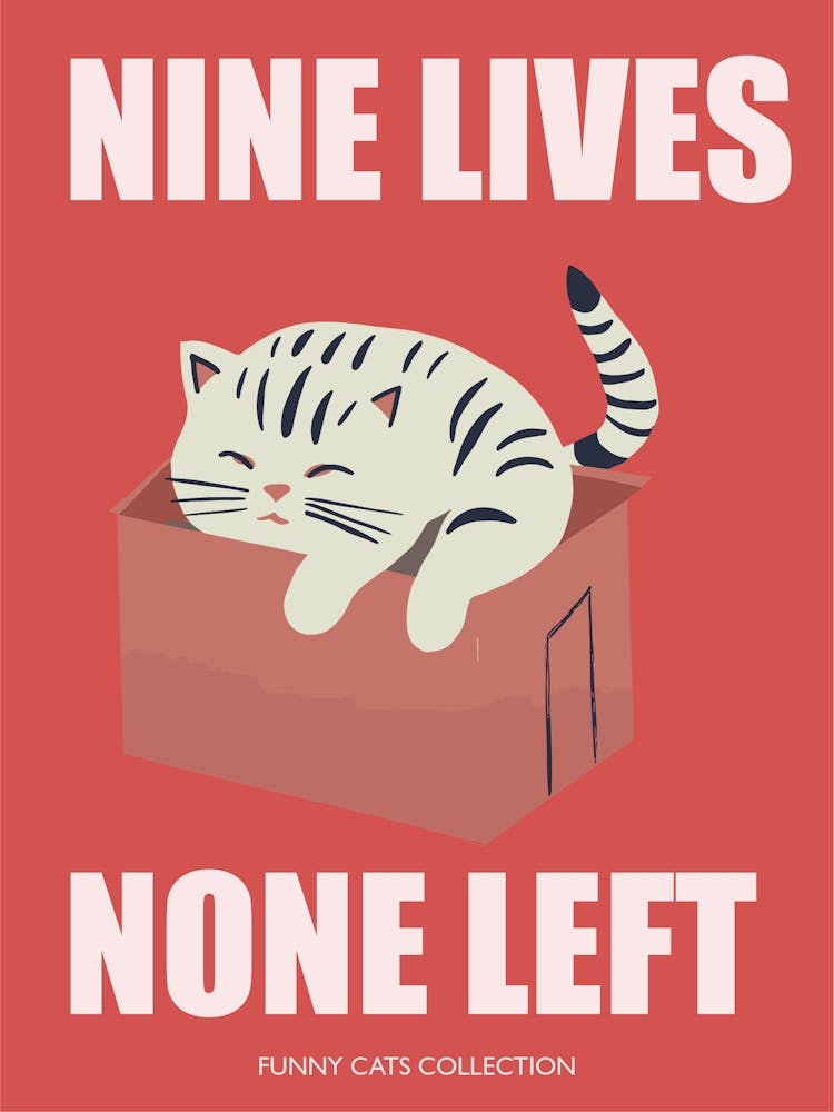 Nine Lives None Left Funny Cat In A Box
