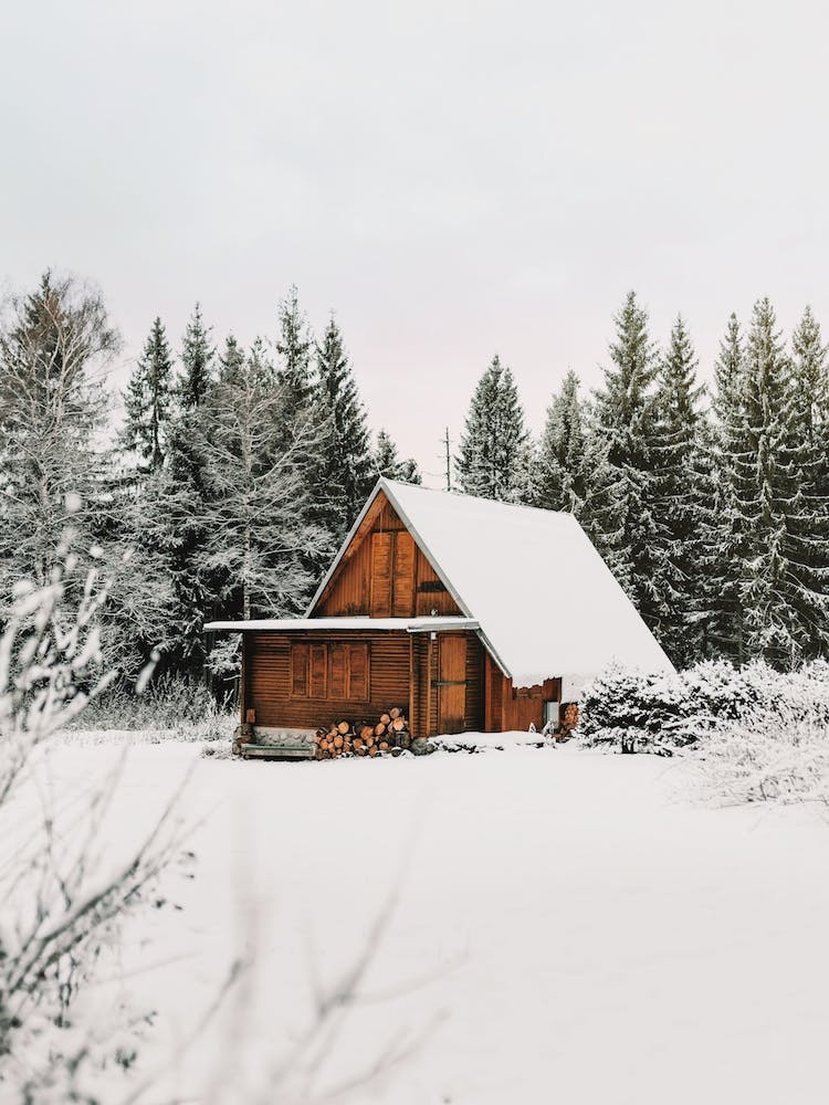 Montana Winter Cabin