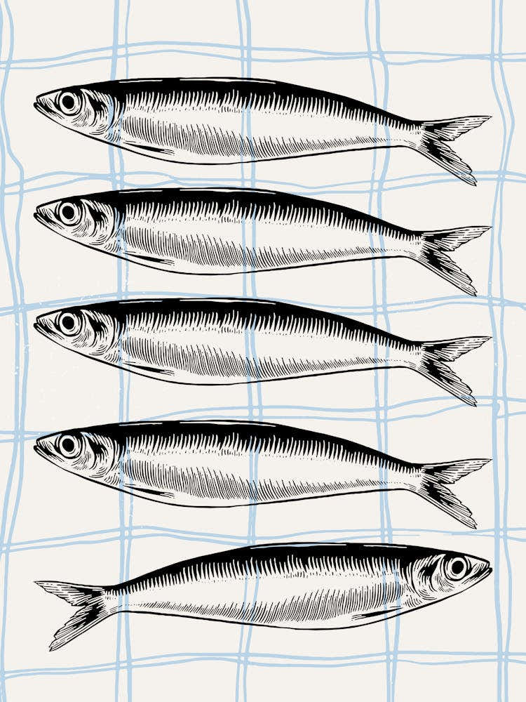 Sardines Fish