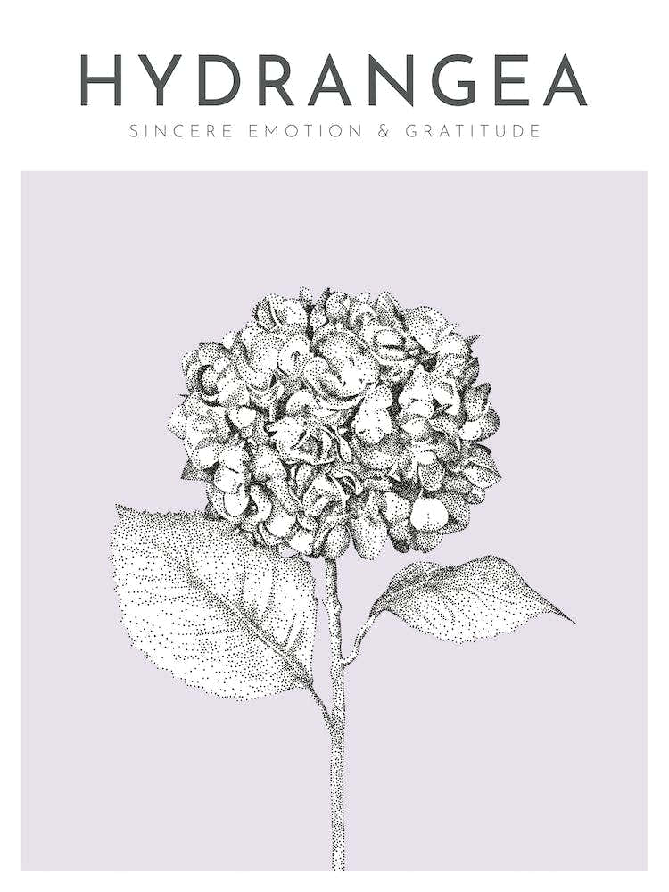 Hydrangea Print Modern Flower Poster Bamber Prints 3