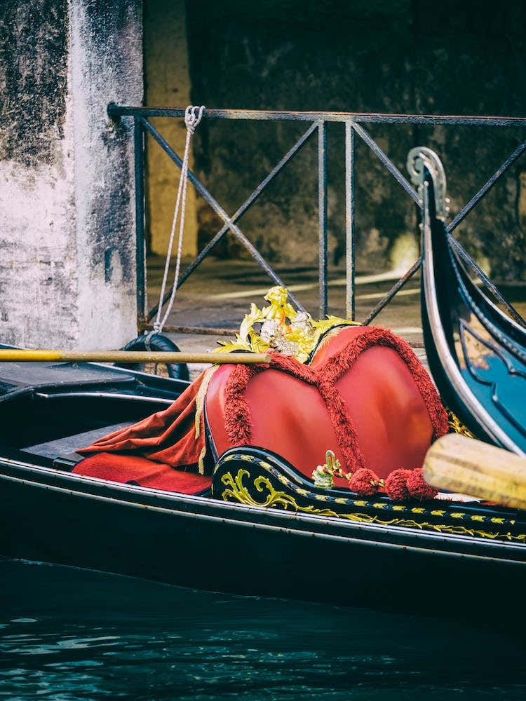 For The Love Of Venice