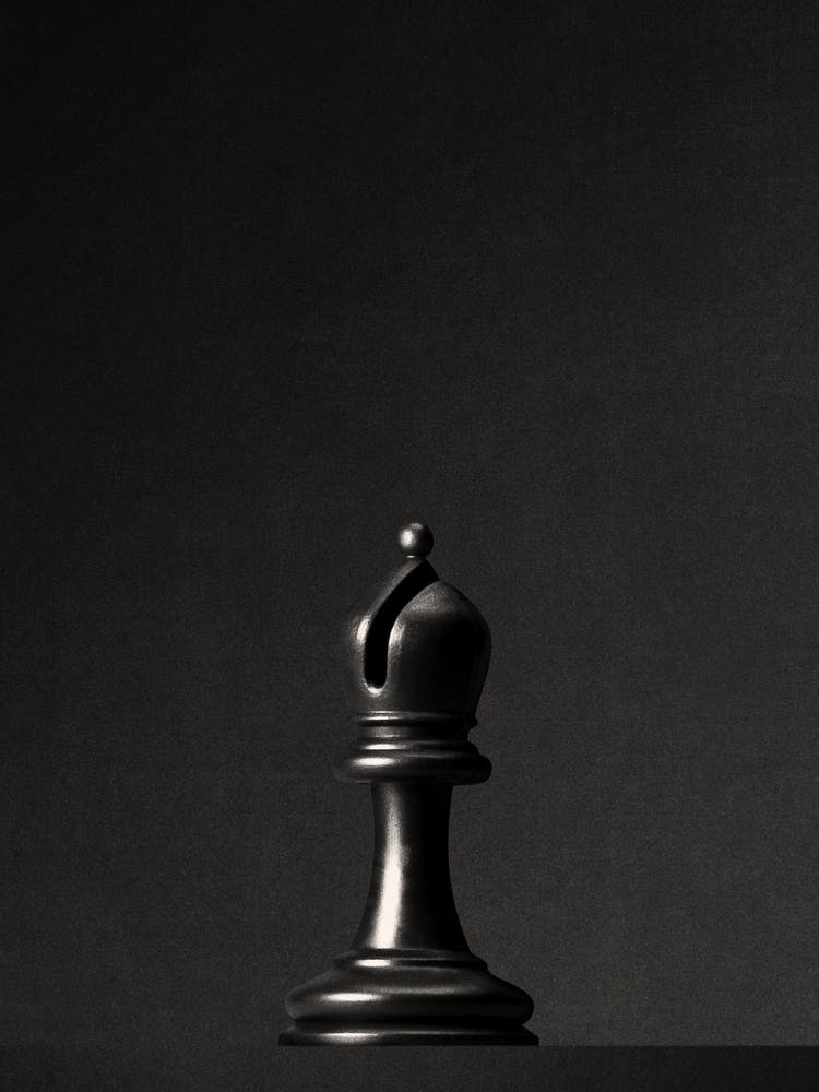 CHESS - The Black Bishop I