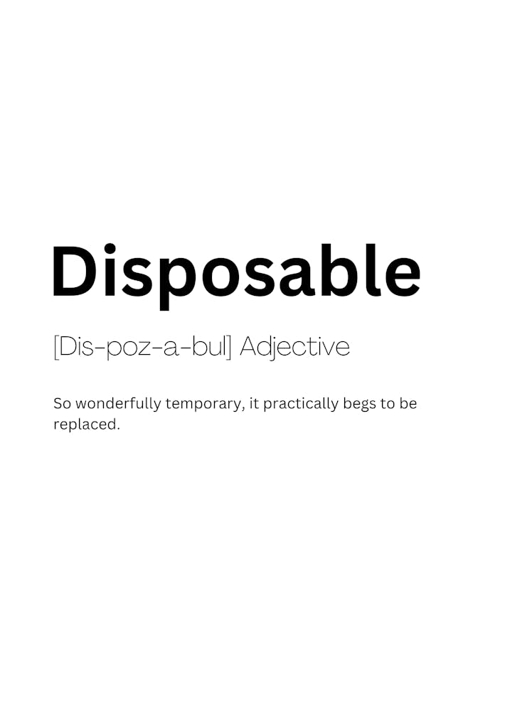 Disposable Definition Meaning 1