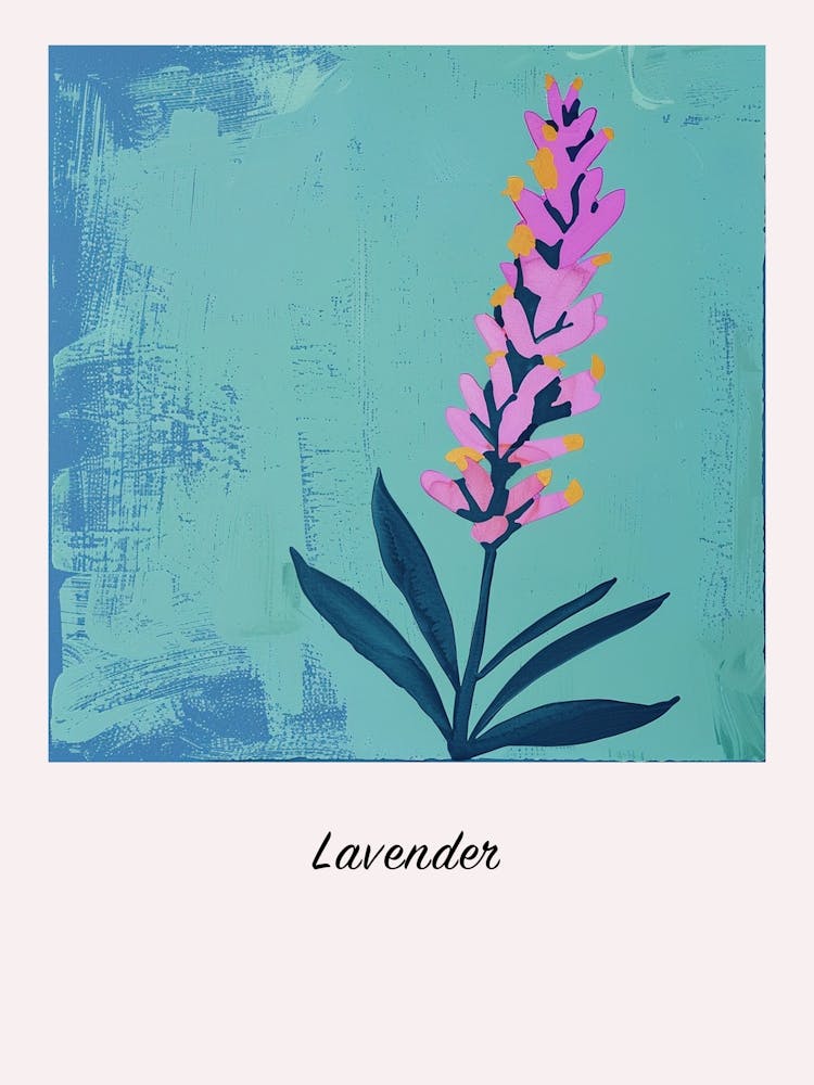 Lavender 1 Square Flower Illustration Poster